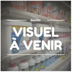 ISEO CAVERS Cadenas City 45 Nickele Satineanse Inox 3 Cles S'entrouvrant