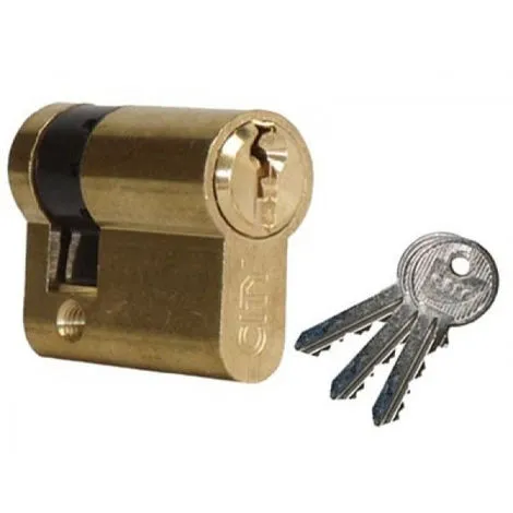 ISEO CAVERS Demi-cylindre City ISEO 30x10mm Laiton Poli - Varié V05 KCF001921 - 520930127V05 1 ISEO CAVERS Demi-cylindre City ISEO 30x10mm Laiton Poli - Varié V05 KCF001921 - 520930127V05