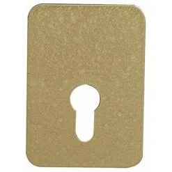 ISEO CAVERS Plaque De Renforcement Arnov Cylindre Europeen Brz Or