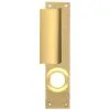 ISEO CAVERS Plaque Palière En Laiton Brossé Verni à Tirage Fixe Rallonge Et Plaque Réversible Pour Serrure Applique 3 Points Cavith Zenith Et Multilock
