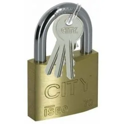 ISEO CAVERS Déboucheur Wc à Canne Virax